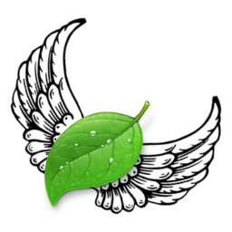 Coda Wing Man Icon 
